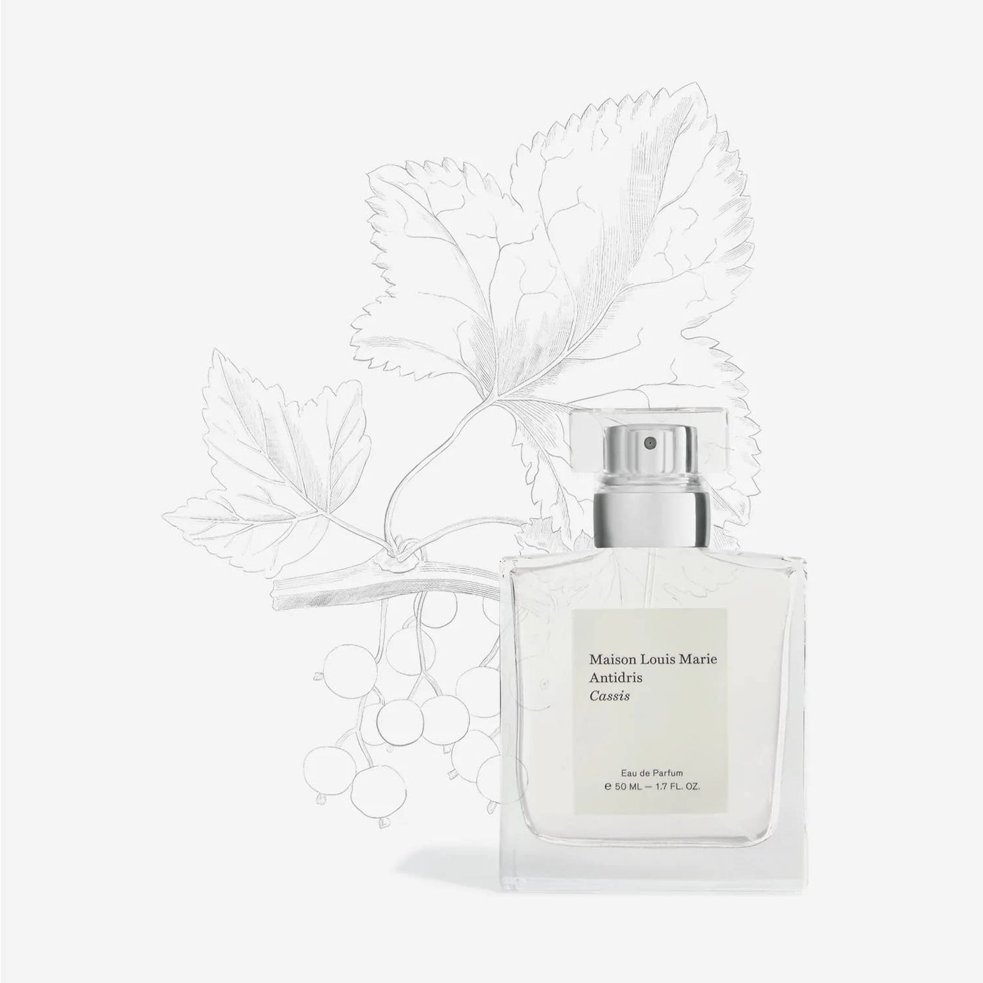 Maison Louis Marie - Antidris Cassis Eau de Parfum – The French