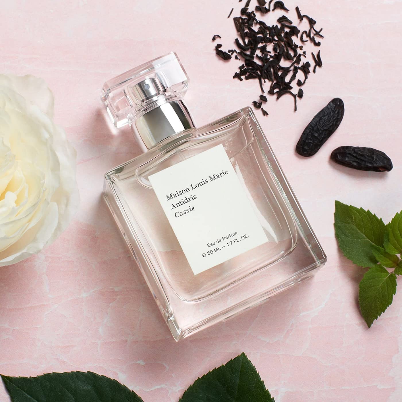 Maison Louis Marie - Antidris Cassis Eau de Parfum – The French