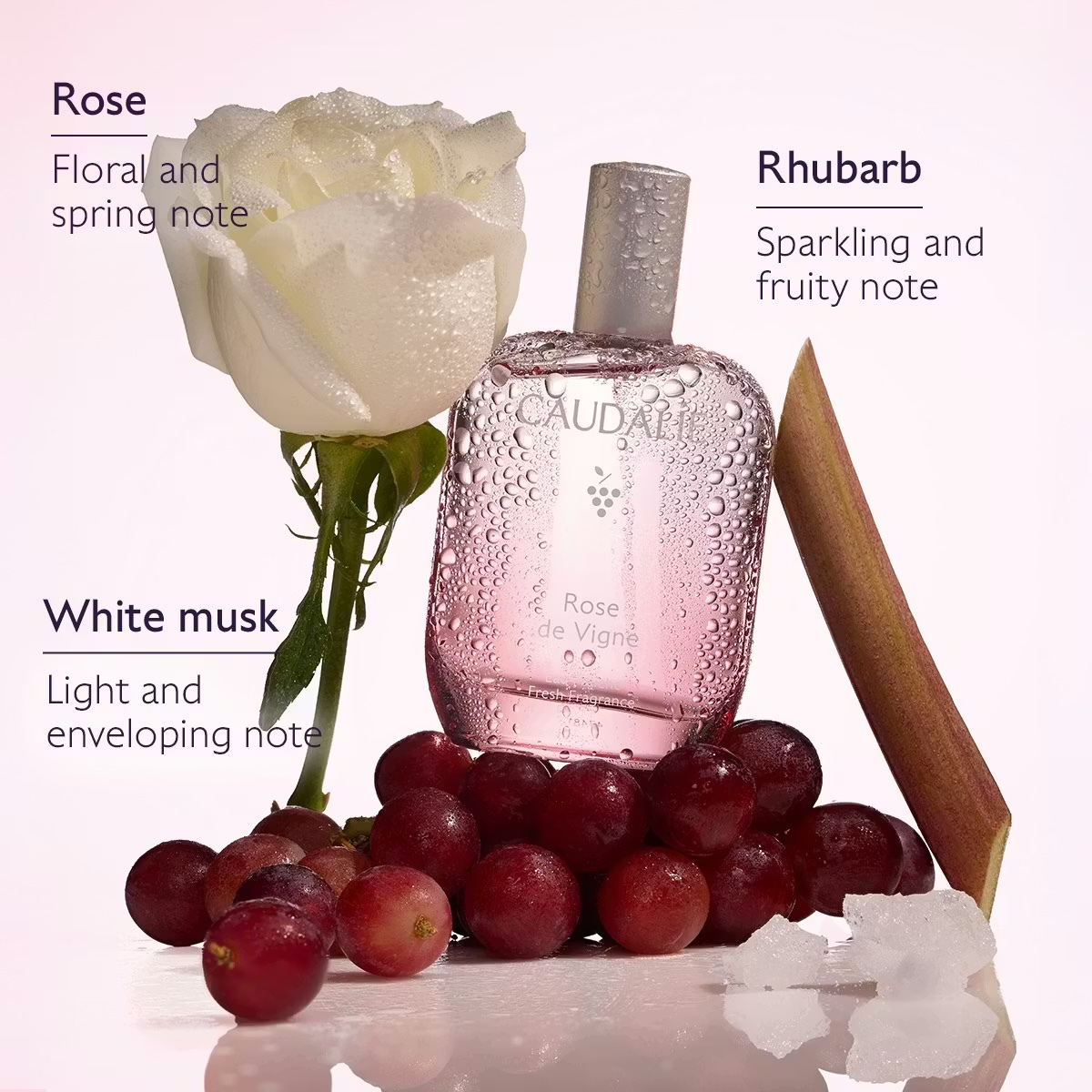 Caudalie - Rose de Vigne Eau Fraîche 50ml – The French Pharmacy