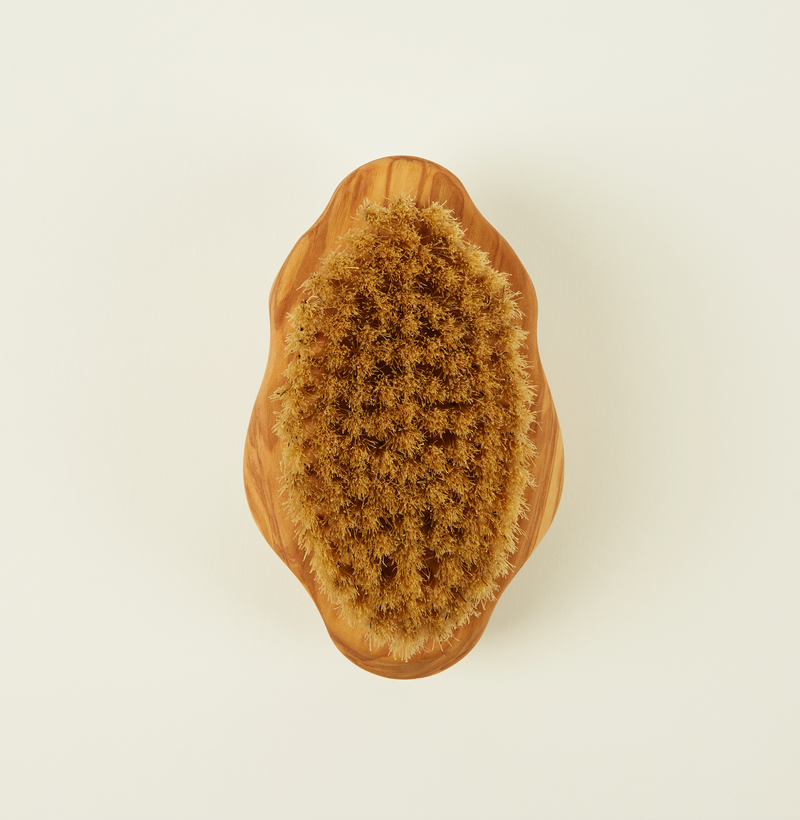 Altesse Studio - Vitalis Body Brush