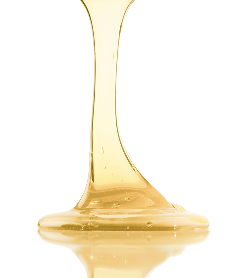 Leonor Greyl - Bain TS Balancing Shampoo for Oily Scalp/Dry Ends 200ml