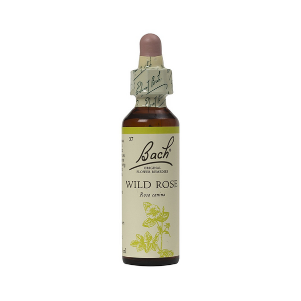 Nelsons - Bach Wild Rose