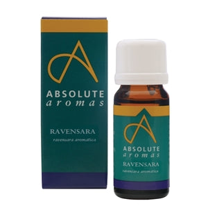 Absolute Aromas - Ravensara