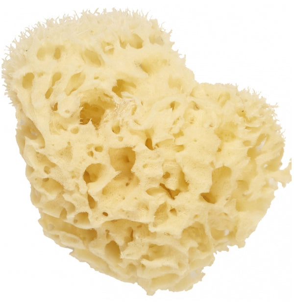 Vitry - Cartel Natural Sea Sponge 11 cm